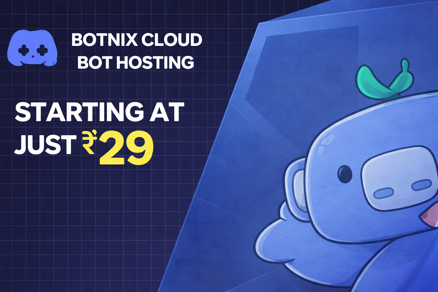 Bot Hosting